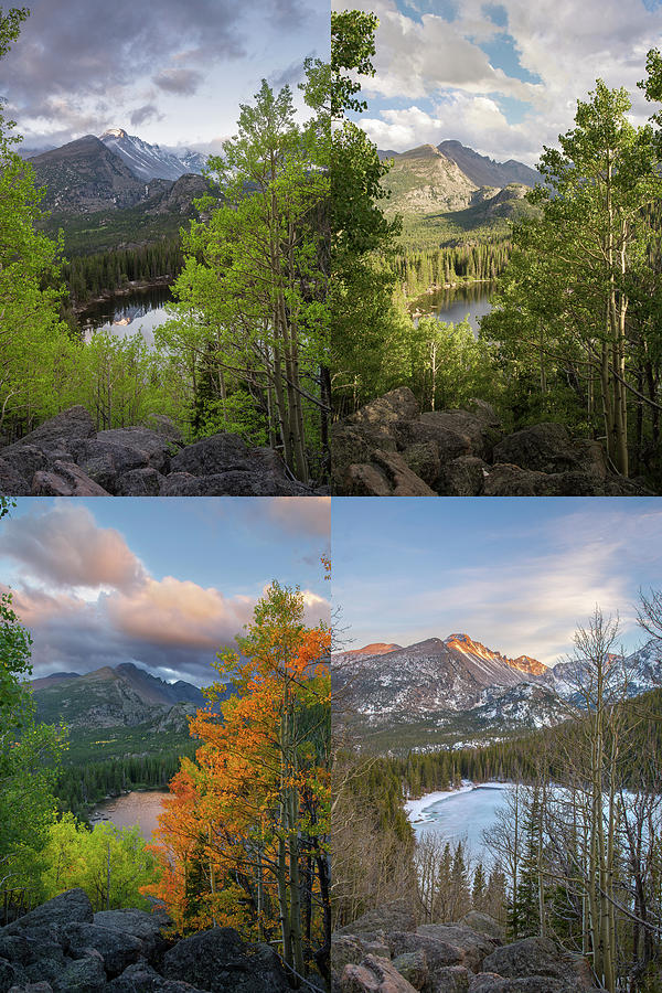 Four Seasons - Bear Lake Photograph by Aaron Spong