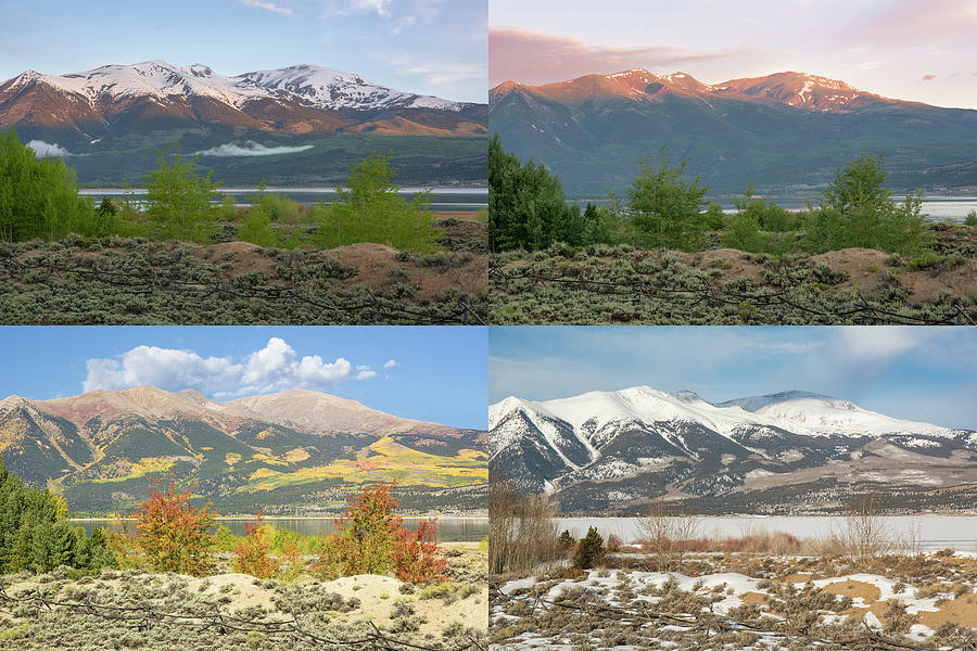 Four Seasons - Mt. Elbert Photograph by Aaron Spong