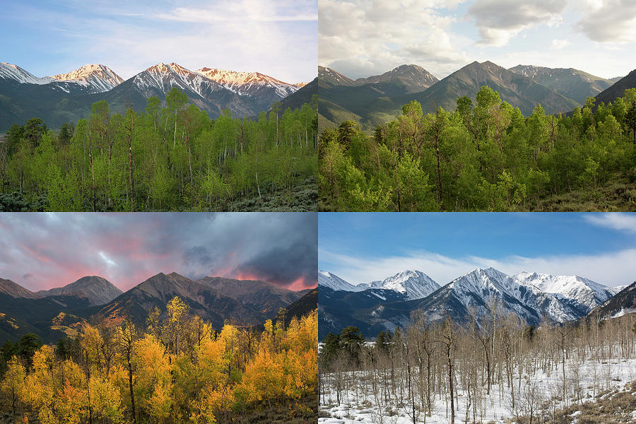 Four Seasons - Sawatch Mountains Photograph by Aaron Spong