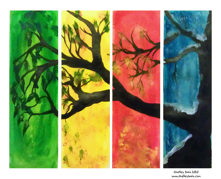 Four Seasons Mixed Media by Shelley Bain