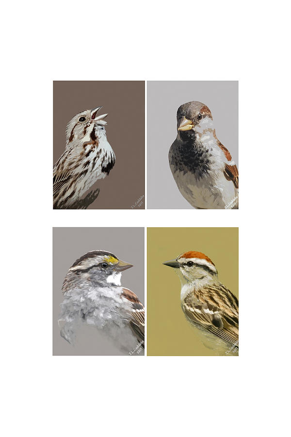 Four Sparrows Mixed Media by Judy Link Cuddehe