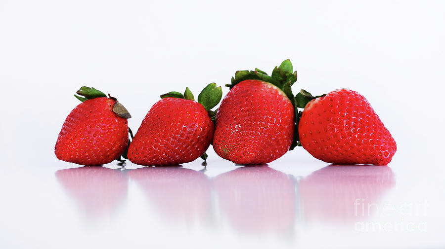 Four Strawberries  9323 Photograph by Jack Schultz
