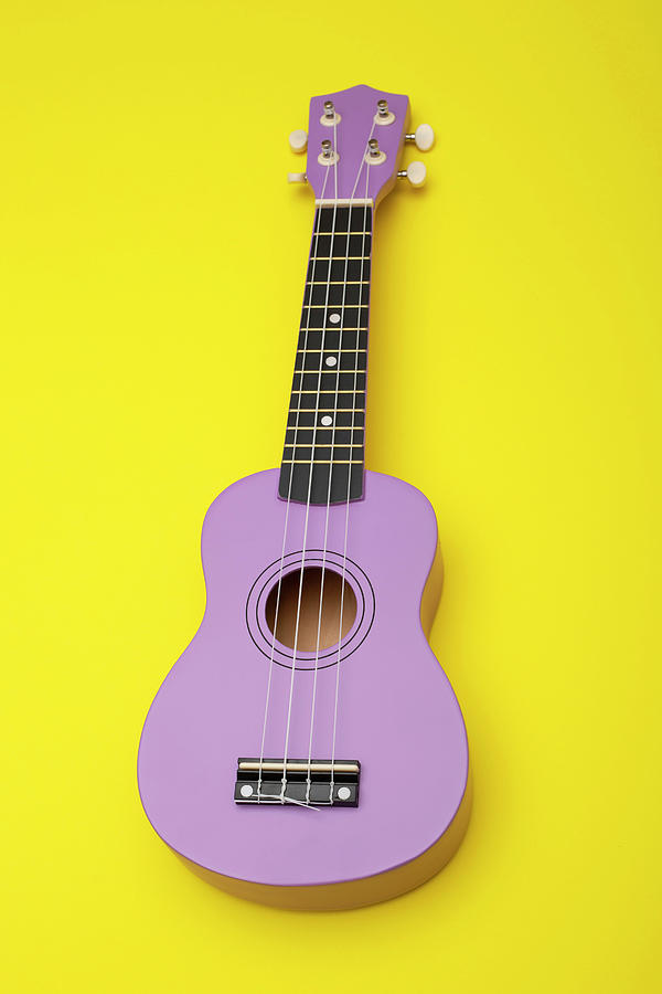 Music Photograph - Four string ukulele guitar by Valentin Ivantsov