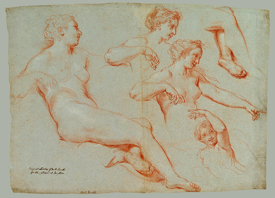 Four Studies of Recumbent Female Nudes, Galatea   Drawing by Carlo Maratta