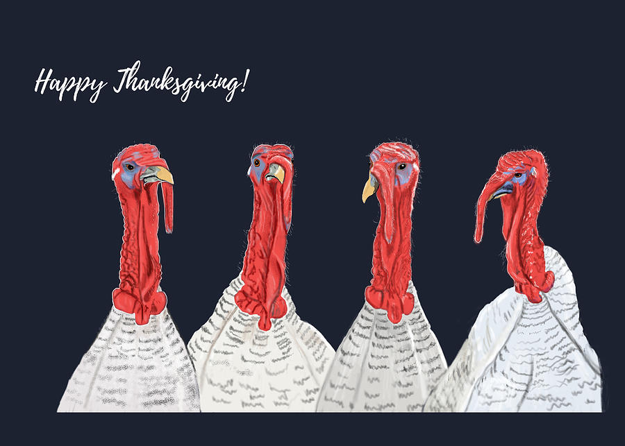 Four Thanksgiving Turkey Card Mixed Media by Judy Cuddehe