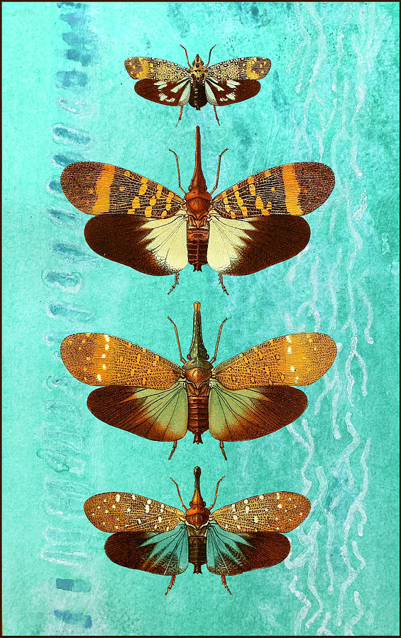 Four Vintage Butterflies Mixed Media by Lorena Cassady