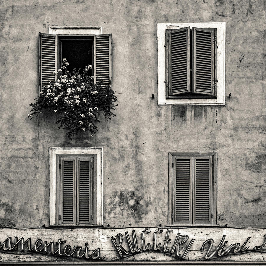 Four Windows Photograph by Dave Bowman