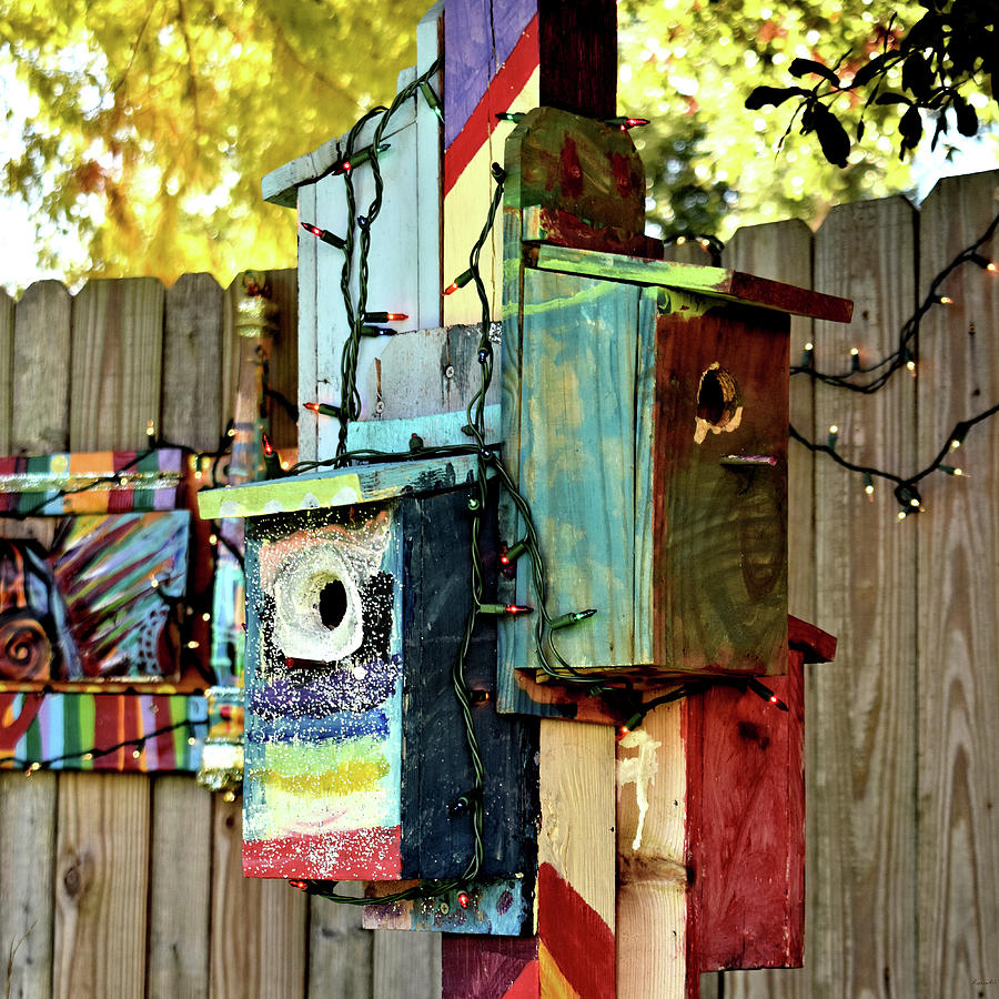 Fourplex Birdhouse Post Photograph by Kathy K McClellan