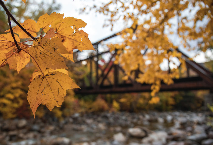 Fourth Iron Bridge In Fall Photograph by Dan Sproul