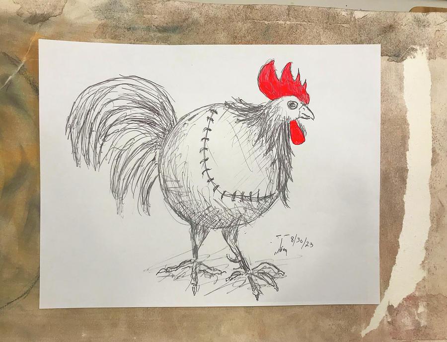 Fowl Ball  Drawing by Ed Meredith