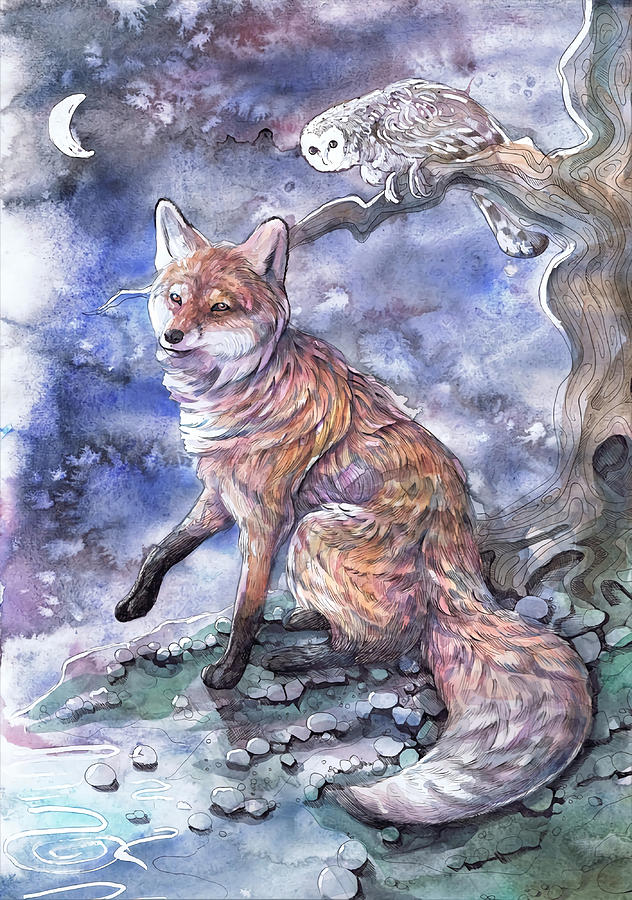 Fox And Owl Poster Trending Painting By Shaw Heather Fine Art America