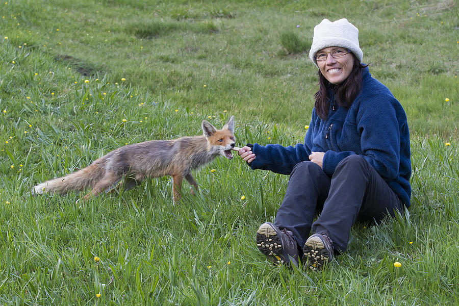 Fox and woman Photograph by Werner Van Steen