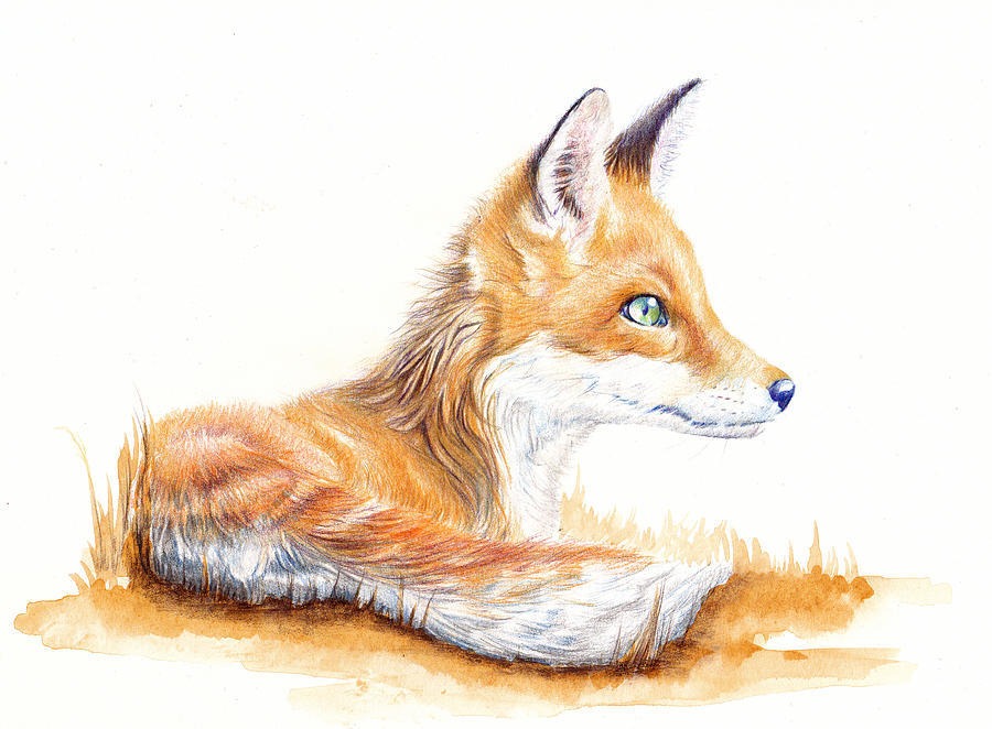 Fox Cub Alert Painting by Debra Hall