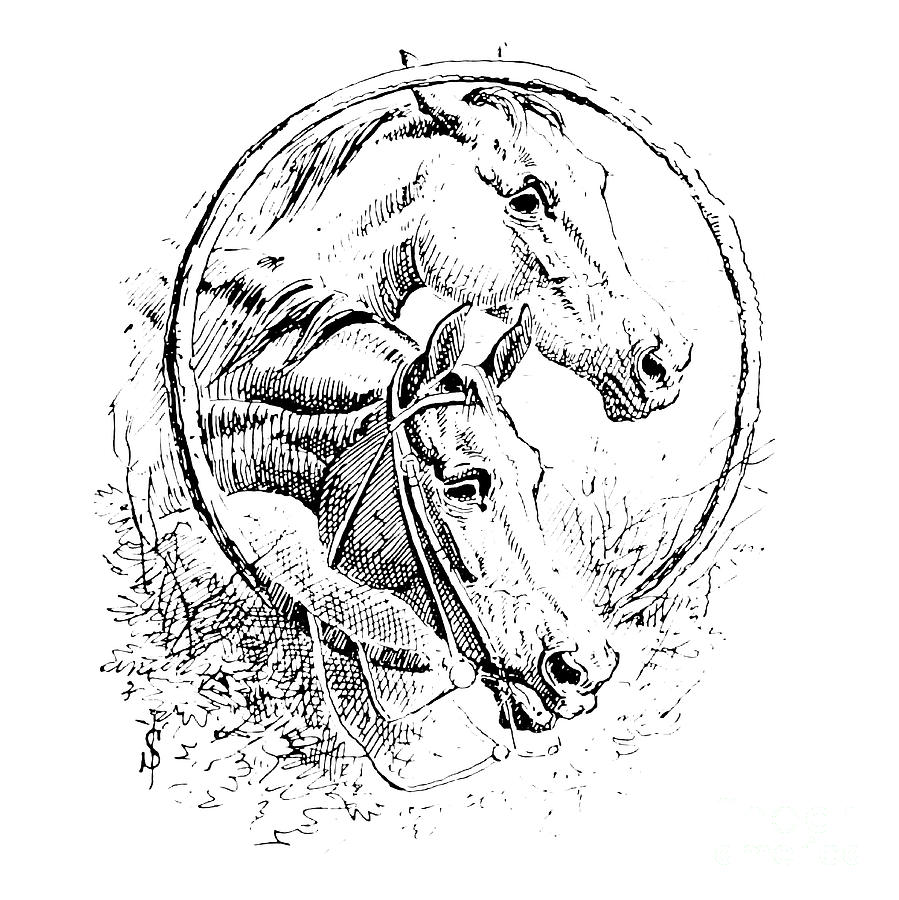 Fox Hunting Illustration I7 Drawing