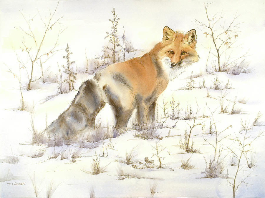 Fox in Snow Mixed Media by Joan Wolbier