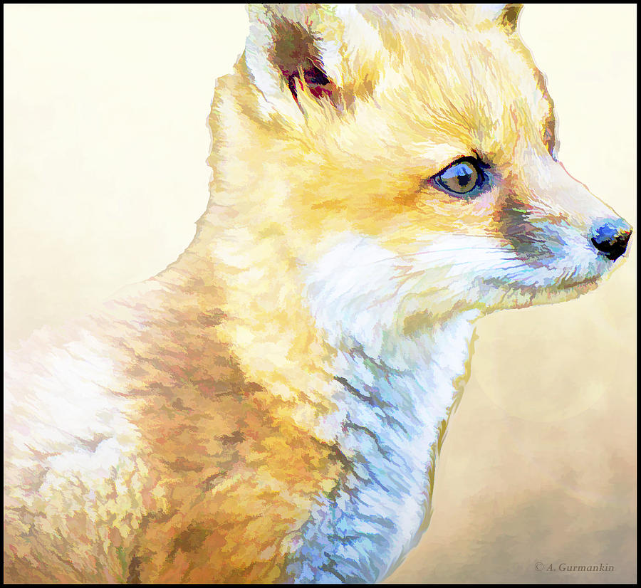 Fox Kit, Animal Portrait Drawing by A Macarthur Gurmankin