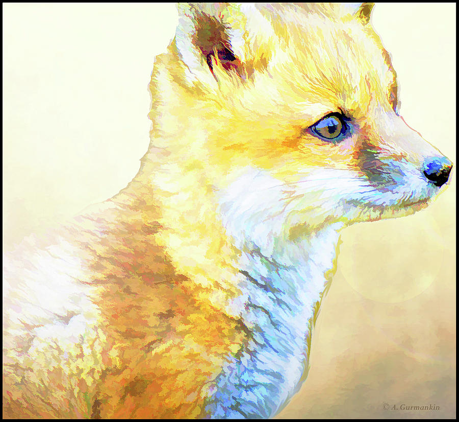 Fox Kit, Animal Portrait Digital Art by A Macarthur Gurmankin