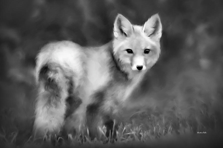 Fox Portrait Black And White Photograph by Christina Rollo