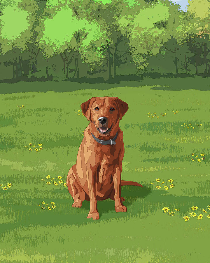 Fox Red Yellow Labrador Retriever Hunting Dog in Field Painting by Crista Forest