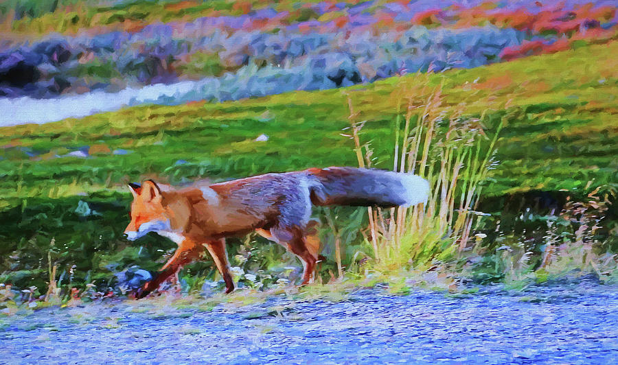 Fox run  Photograph by Dennis Baswell