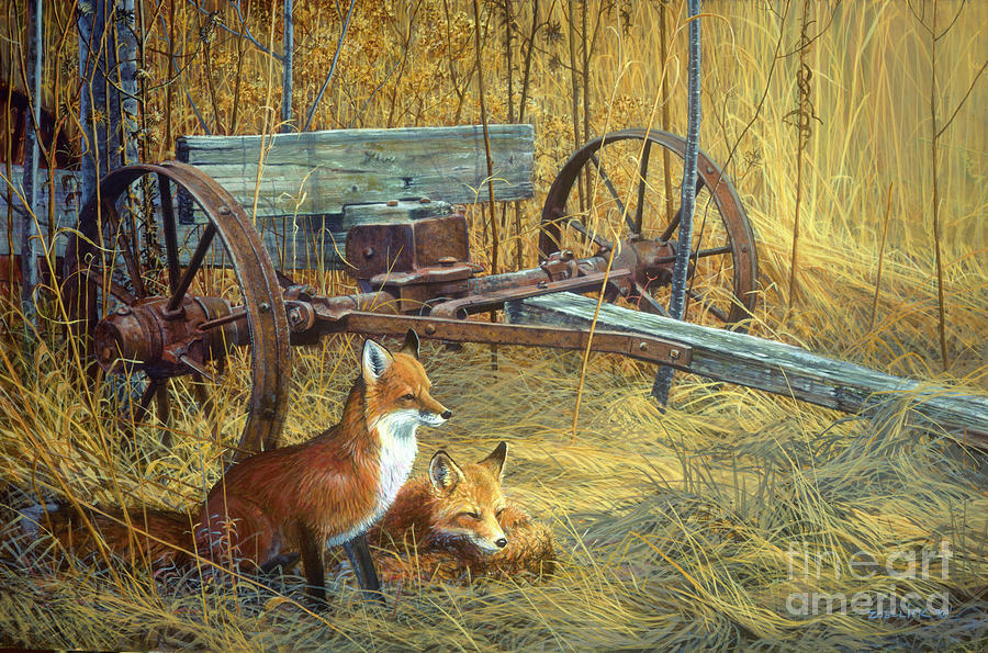 FOX Painting by Scott Zoellick