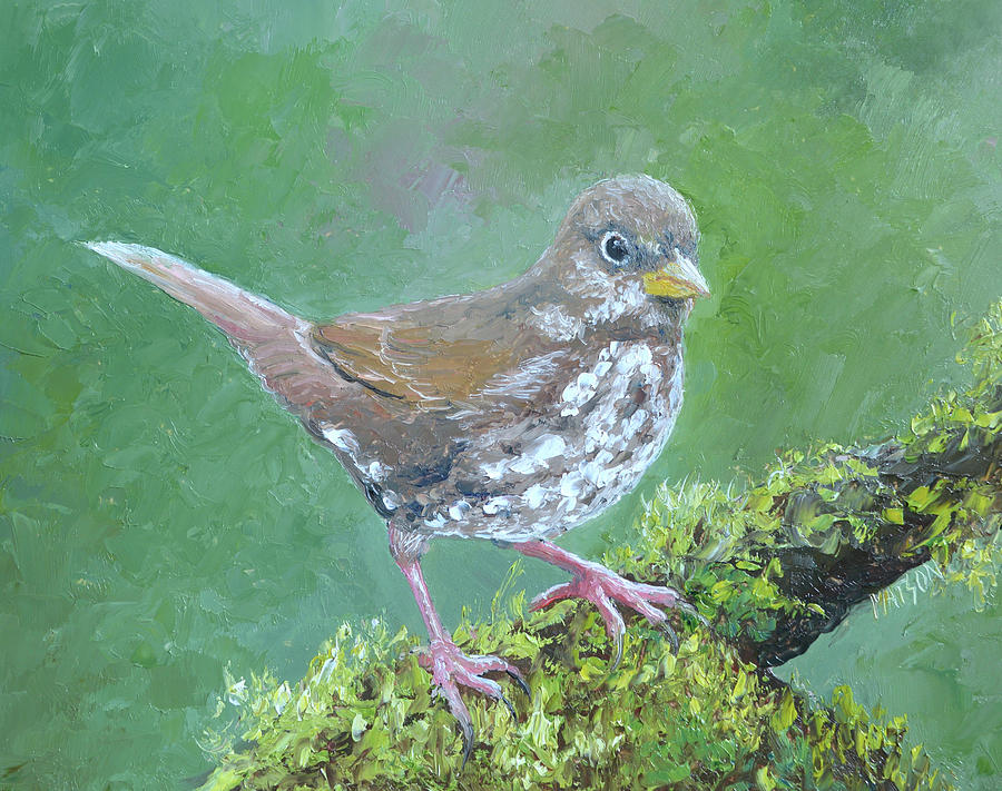Fox Sparrow Painting by Jan Matson