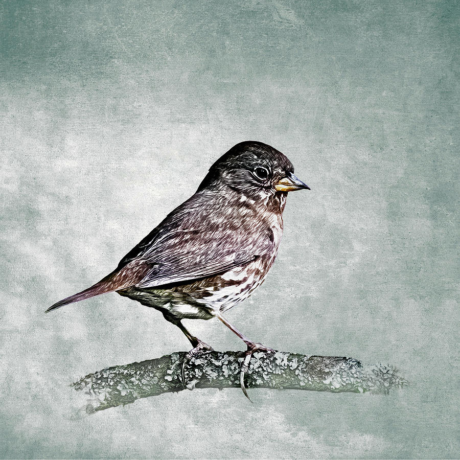Fox Sparrow Digital Art by Mike Gifford