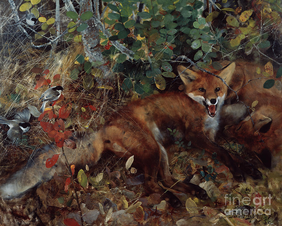 Foxes, 1886 Painting by O Vaering by Bruno Liljefors