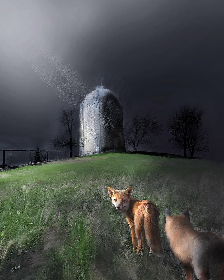 Foxes at the Washburn Water Tower  Digital Art by Glenn Galen