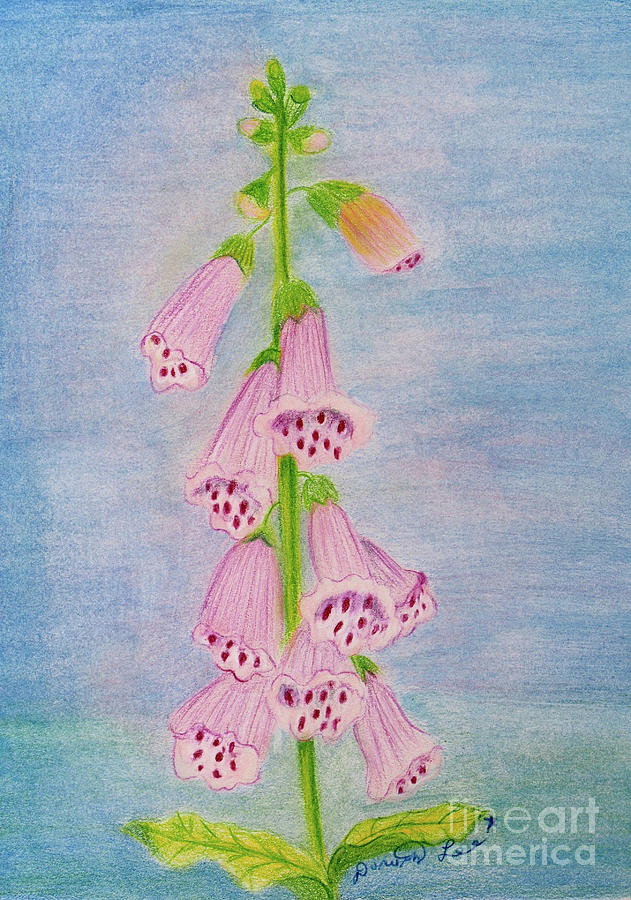 Foxgloves On A Clear Day Painting by Dorothy Lee