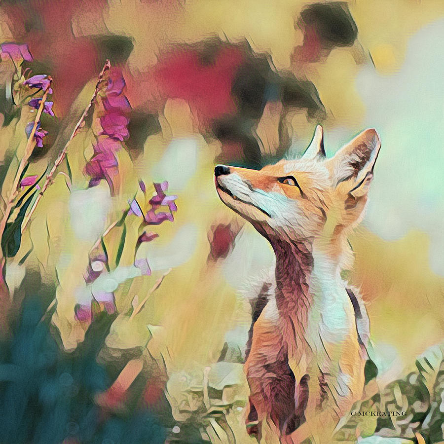 Foxy 3 Digital Art by Cat