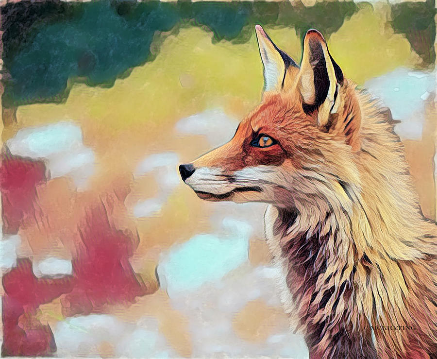 Foxy Face Digital Art by Catherine McKeating and ArtcrewNZ