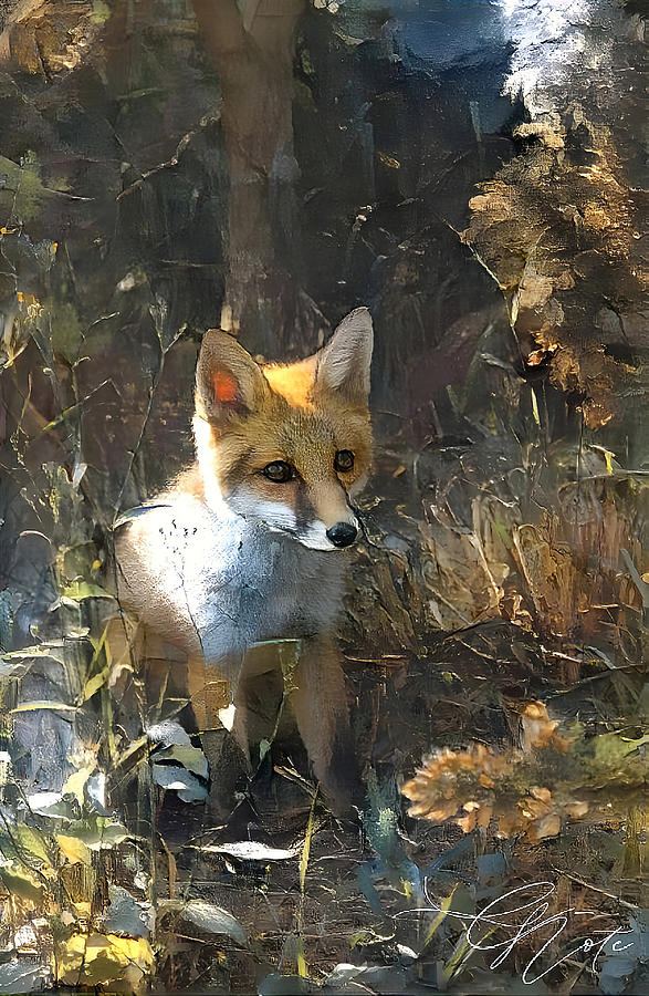 Foxy Painting by Frederick Cook