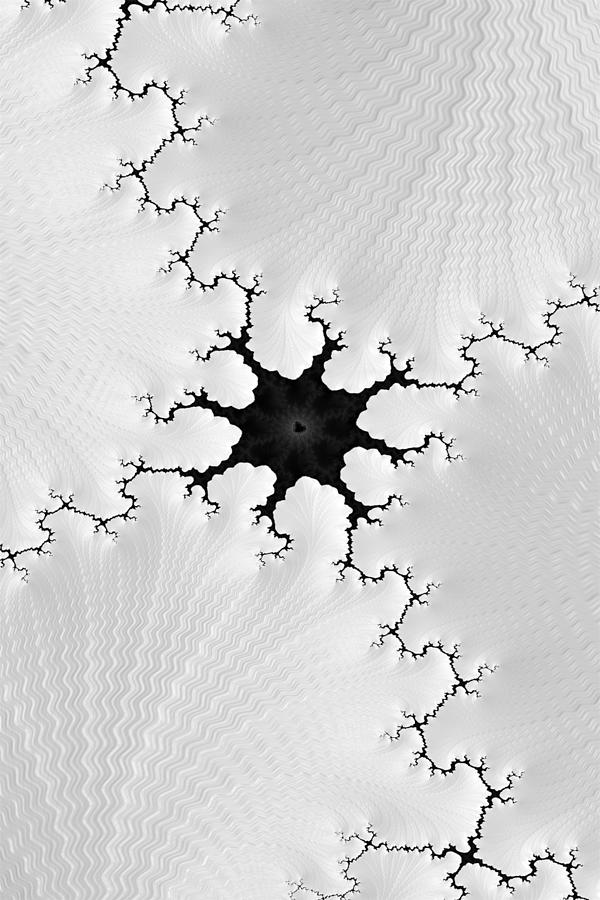 Fracked Cracked Fractal in Black and White Digital Art by Shelli Fitzpatrick