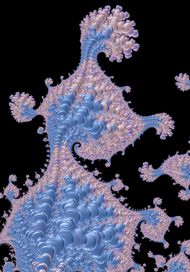 Fractal Art with Floral Patterns Pink Blue Black Digital Art by Matthias Hauser