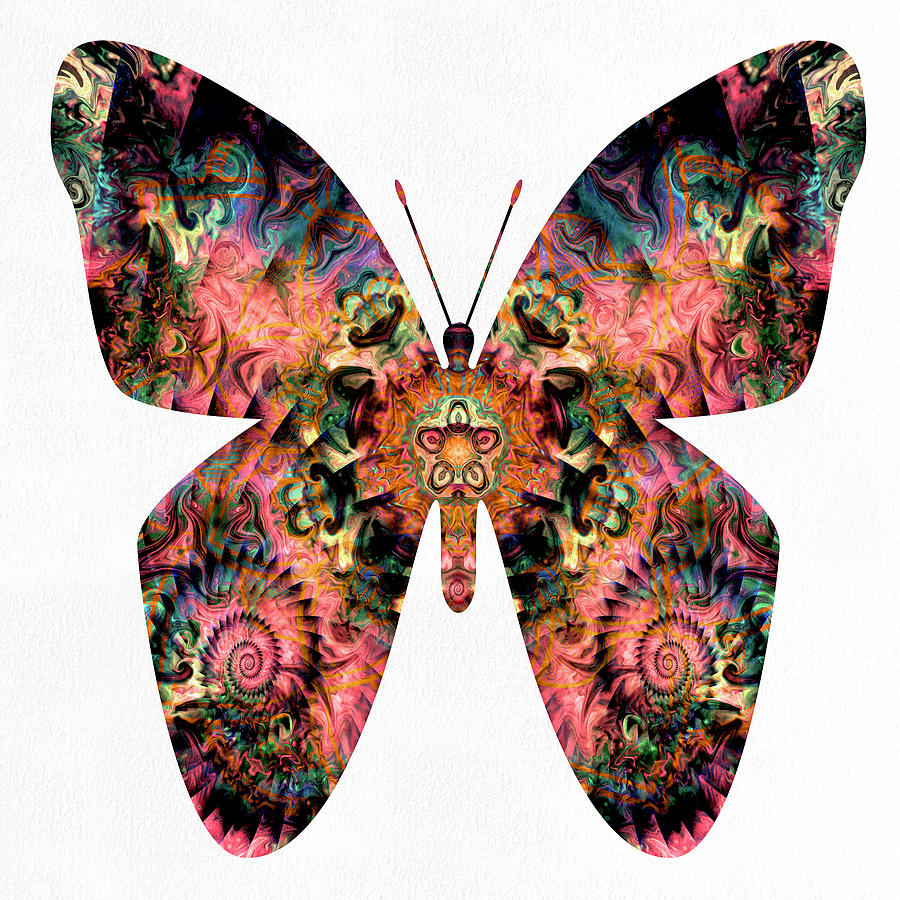 Fractal Butterfly Digital Art by Peggy Collins