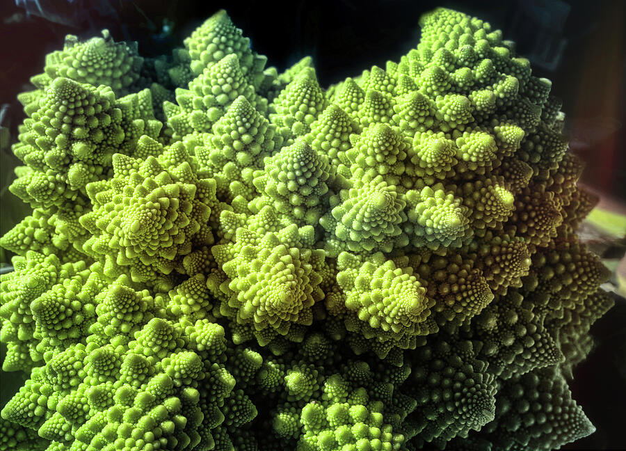 Fractal Cauliflower Photograph by Micah Offman