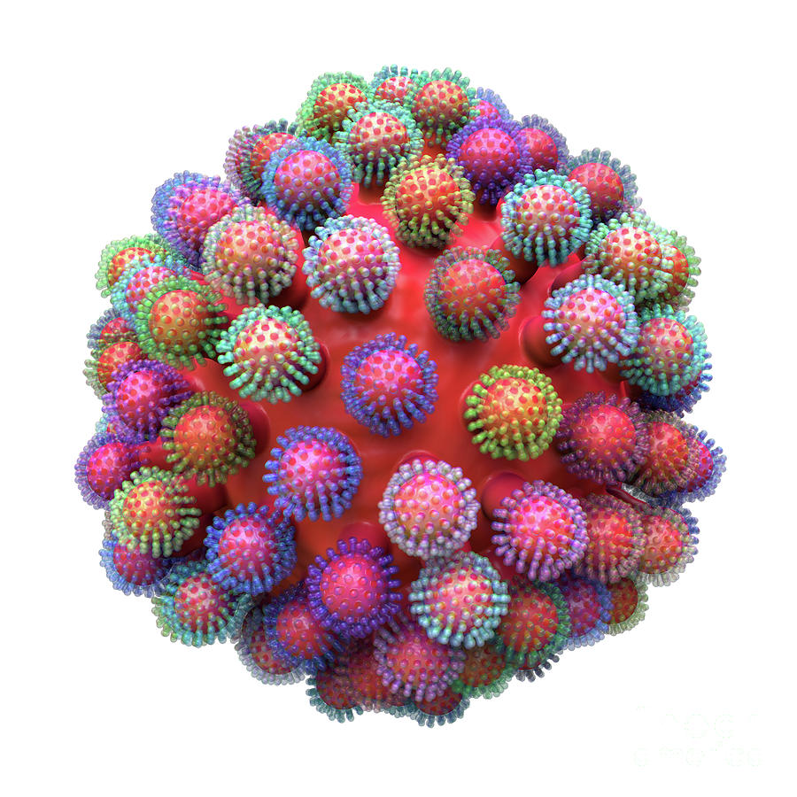Fractal Coronavirus White Digital Art by Russell Kightley