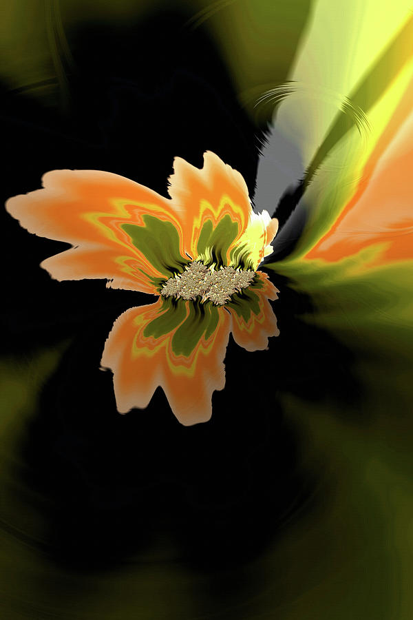 Fractal Flower-Orange Water Lily  Digital Art by Shelli Fitzpatrick