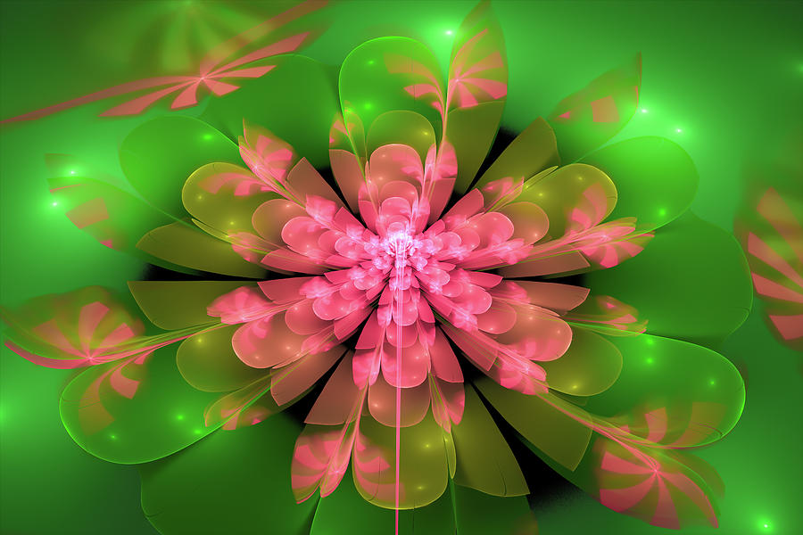 Fractal Flower Pink and Green Digital Art by Matthias Hauser