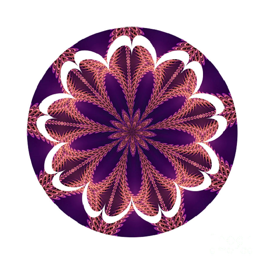 Fractal Flowers Mandala Series 3 Digital Art by Rose Santuci-Sofranko