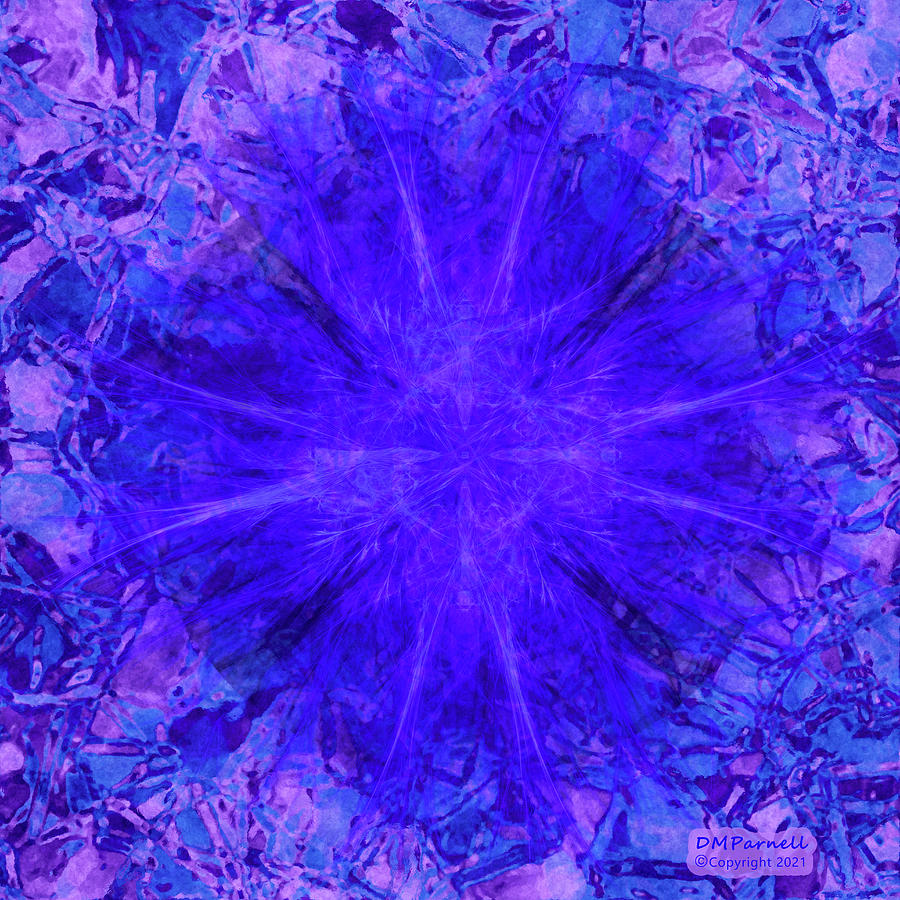 Fractal Ice Bloom Digital Art by Diane Parnell
