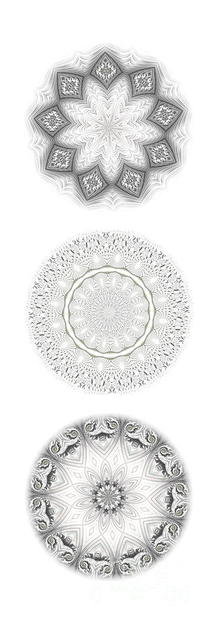 Fractal Snowflake Mandala Series Silver Linings Collection Digital Art by Rose Santuci-Sofranko