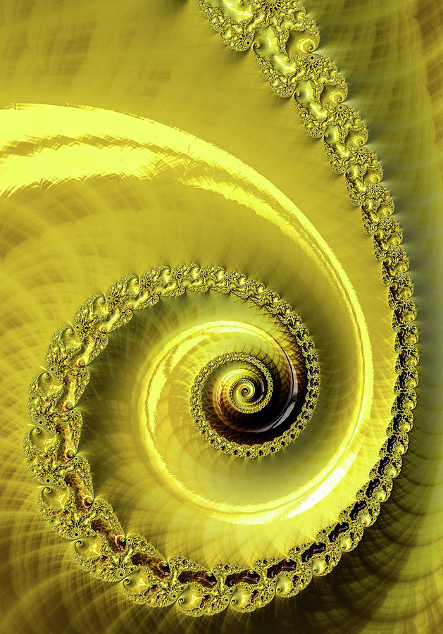 Fractal Spiral Art Golden and Glossy Digital Art by Matthias Hauser