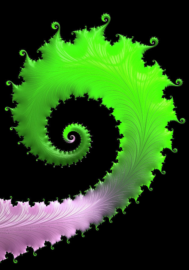 Fractal Spiral Art Green Pink and Black Digital Art by Matthias Hauser