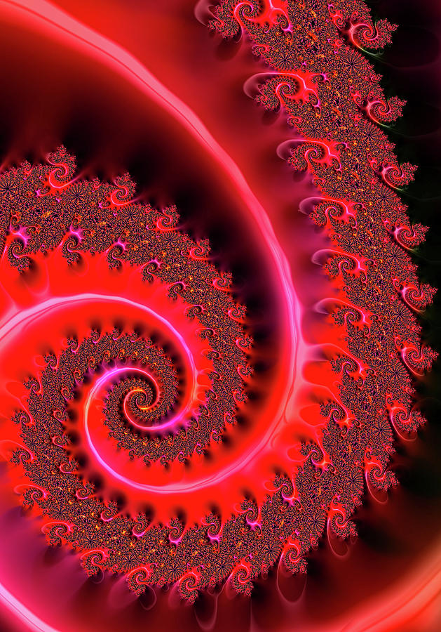 Fractal Spiral Art Red and Black Digital Art by Matthias Hauser - Fine ...