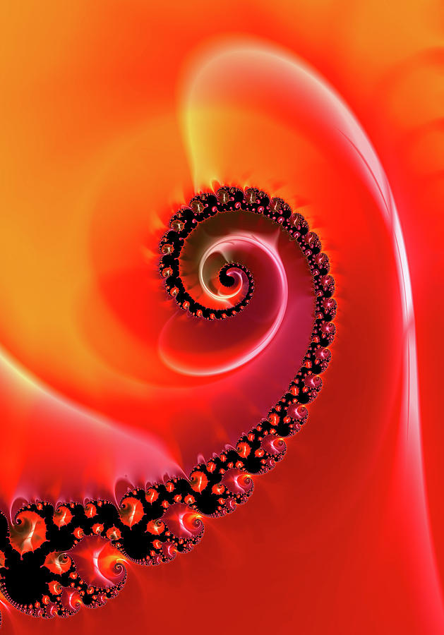 Fractal Spiral Art Red Orange and Black Digital Art by Matthias Hauser