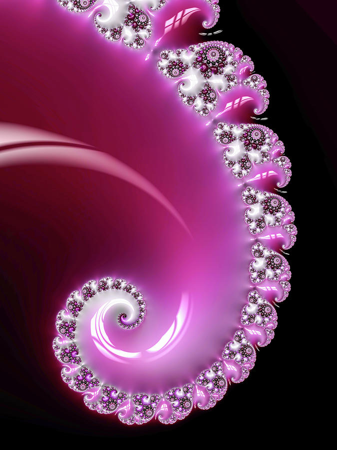 Fractal Spiral Pink Magenta Black White Digital Art by Matthias Hauser