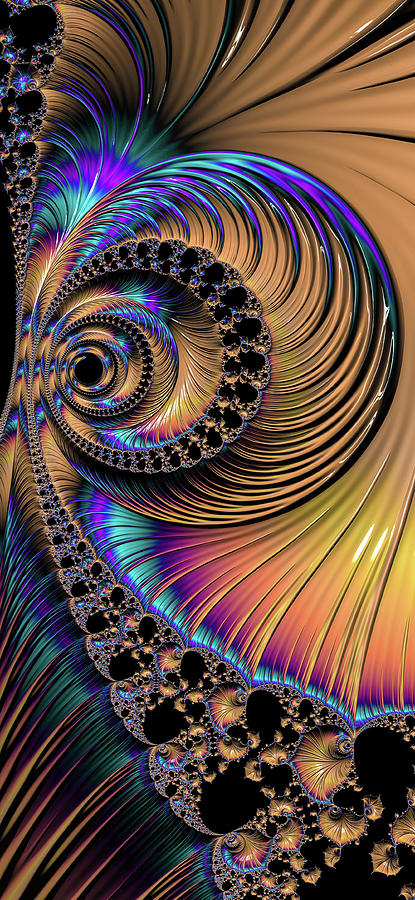 Fractal Spiral with Swirls and Lines Digital Art by Matthias Hauser