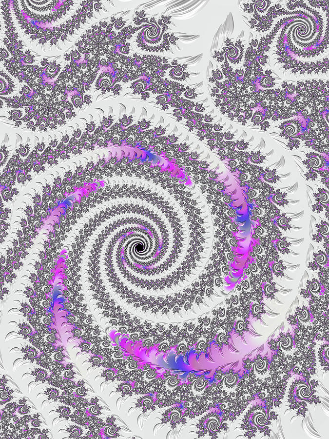 Fractal Spirals Purple Orchid and Blue Digital Art by Matthias Hauser